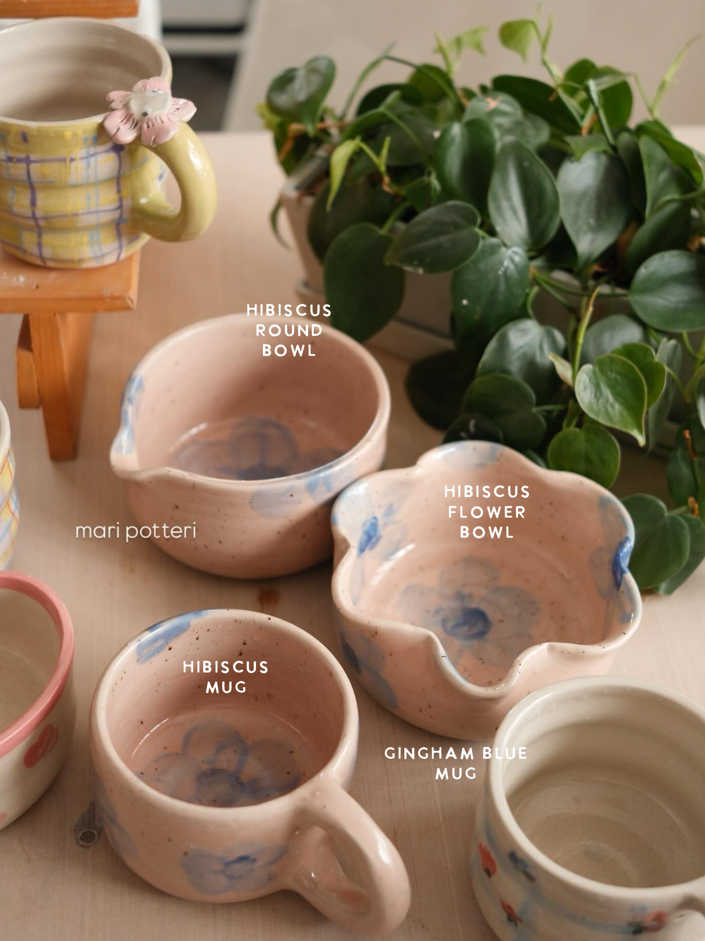 MARI POTTERI FLOWER CART #5