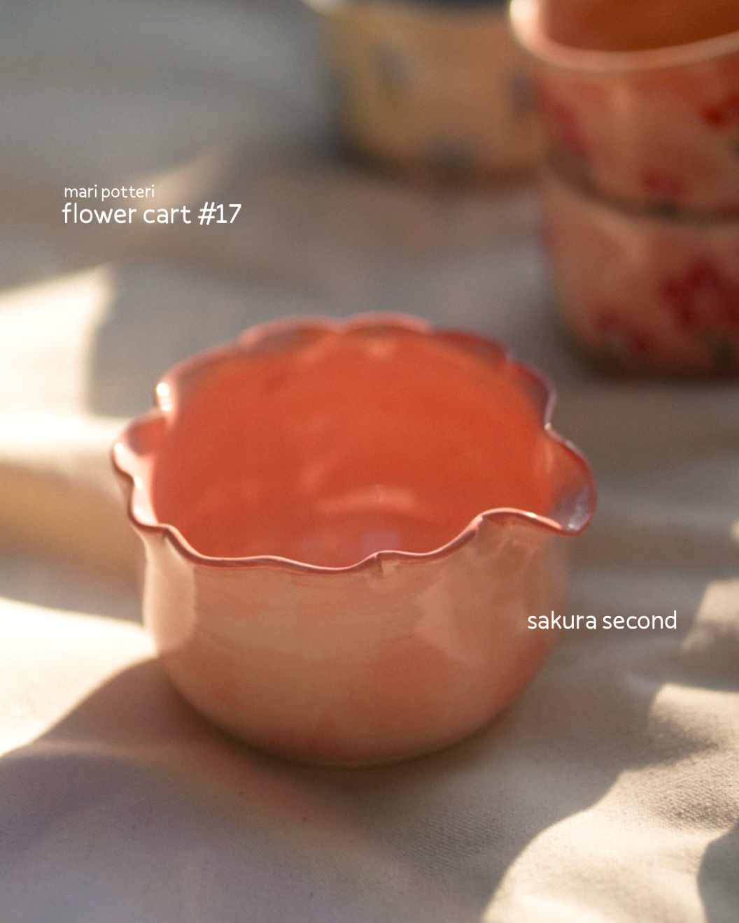 MARI POTTERI : FLOWER CART #17